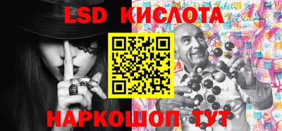 индика Можга