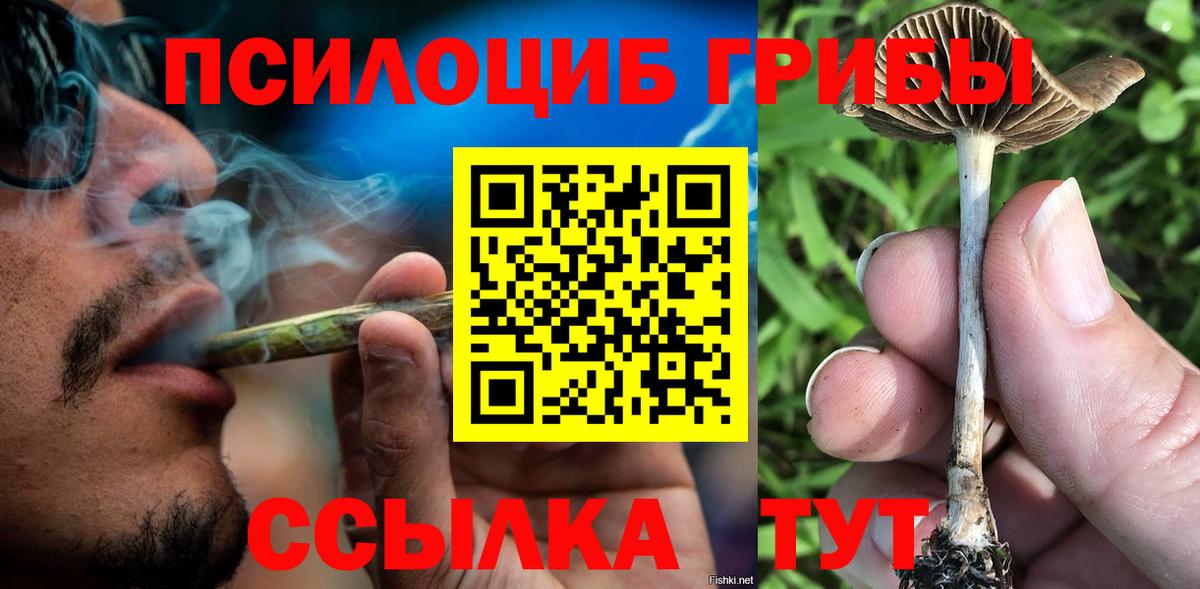 Галлюциногенные грибы ЛСД Великие Луки